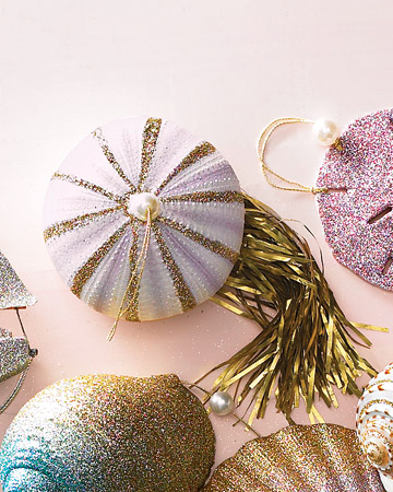 mld105140_1209_jellyfish_shell_xl