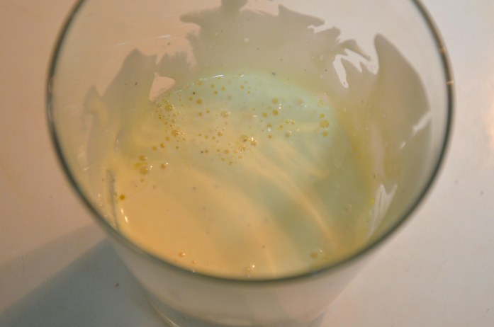 homemade mayonnaise