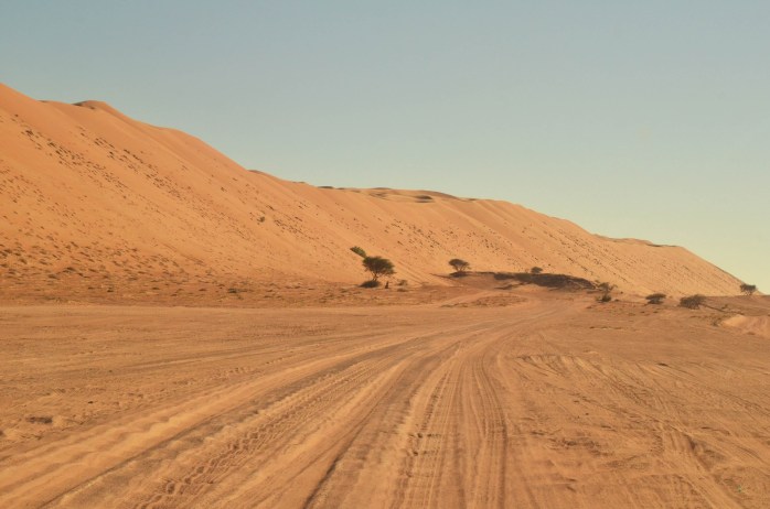 oman dune desert travel