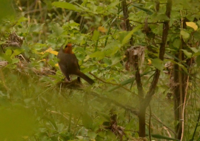 cuenca Júcar river spain travel photography
